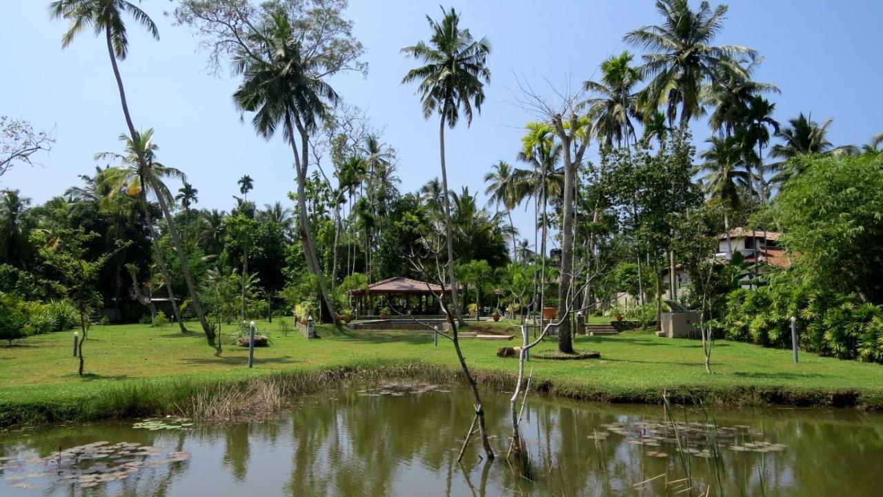 Avalon Village Resort Induruwa Εξωτερικό φωτογραφία