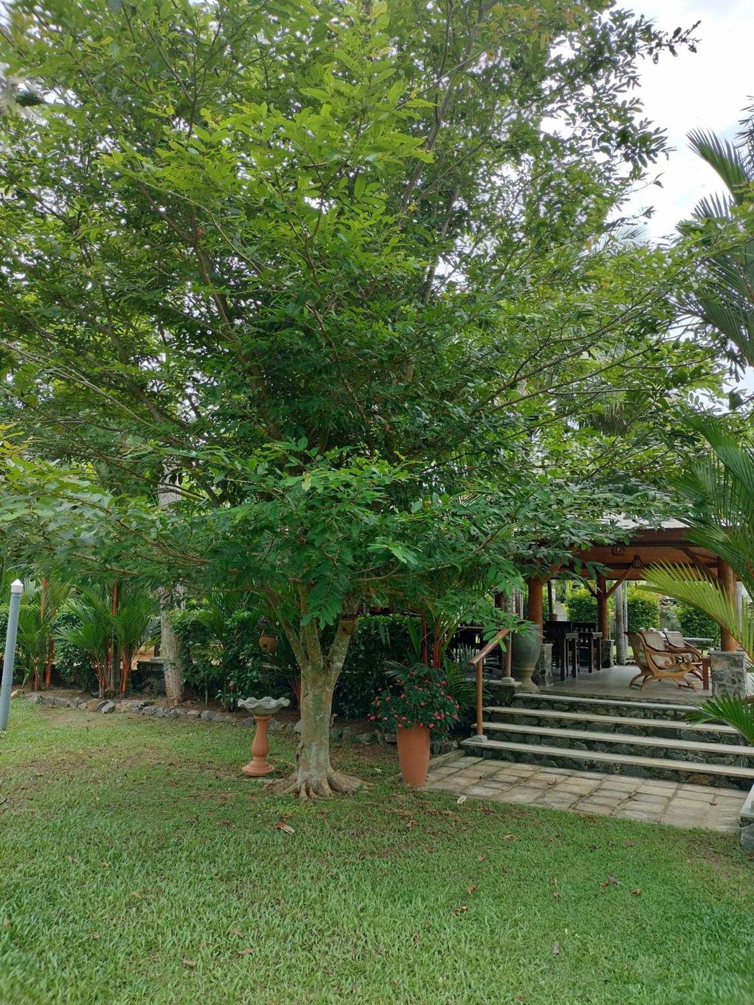 Avalon Village Resort Induruwa Εξωτερικό φωτογραφία
