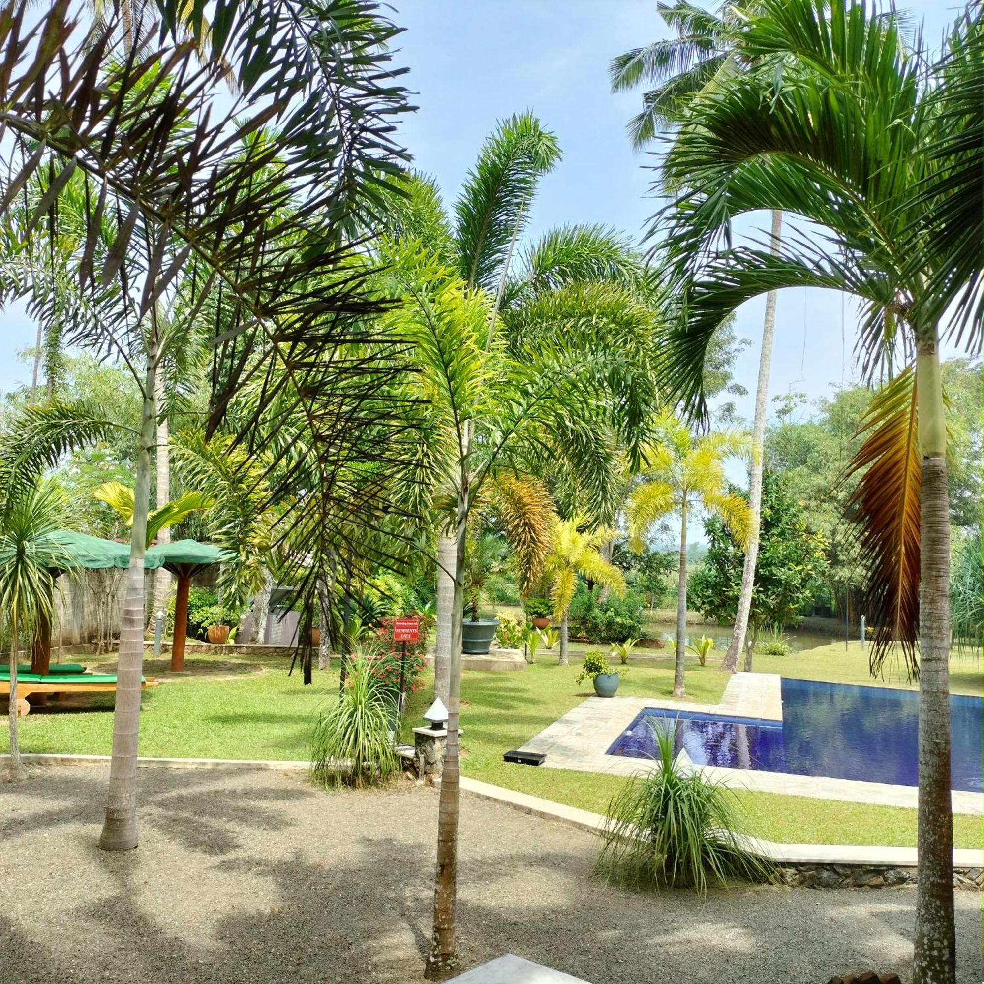 Avalon Village Resort Induruwa Εξωτερικό φωτογραφία