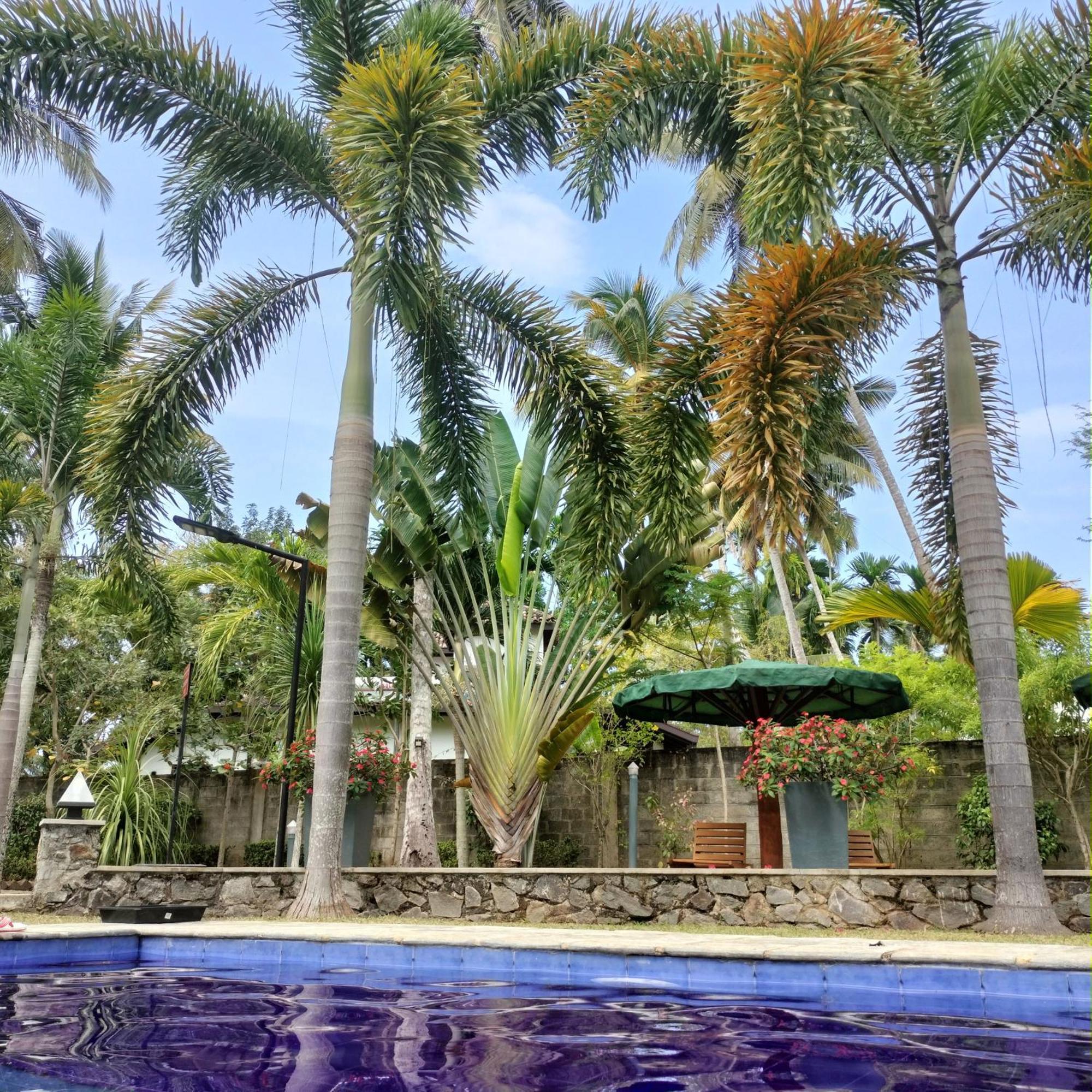 Avalon Village Resort Induruwa Εξωτερικό φωτογραφία