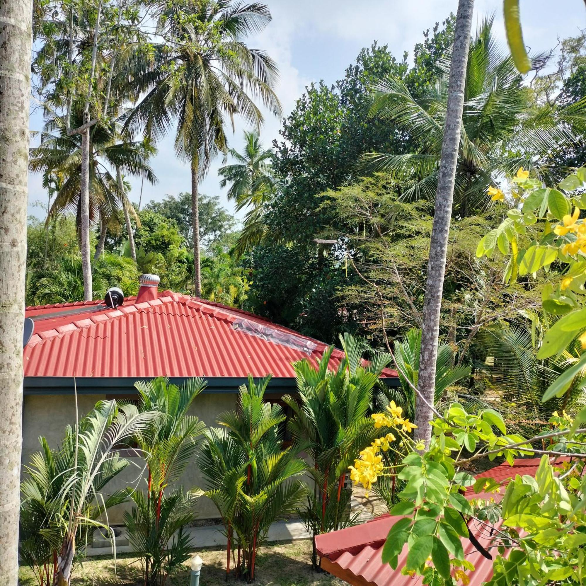 Avalon Village Resort Induruwa Εξωτερικό φωτογραφία
